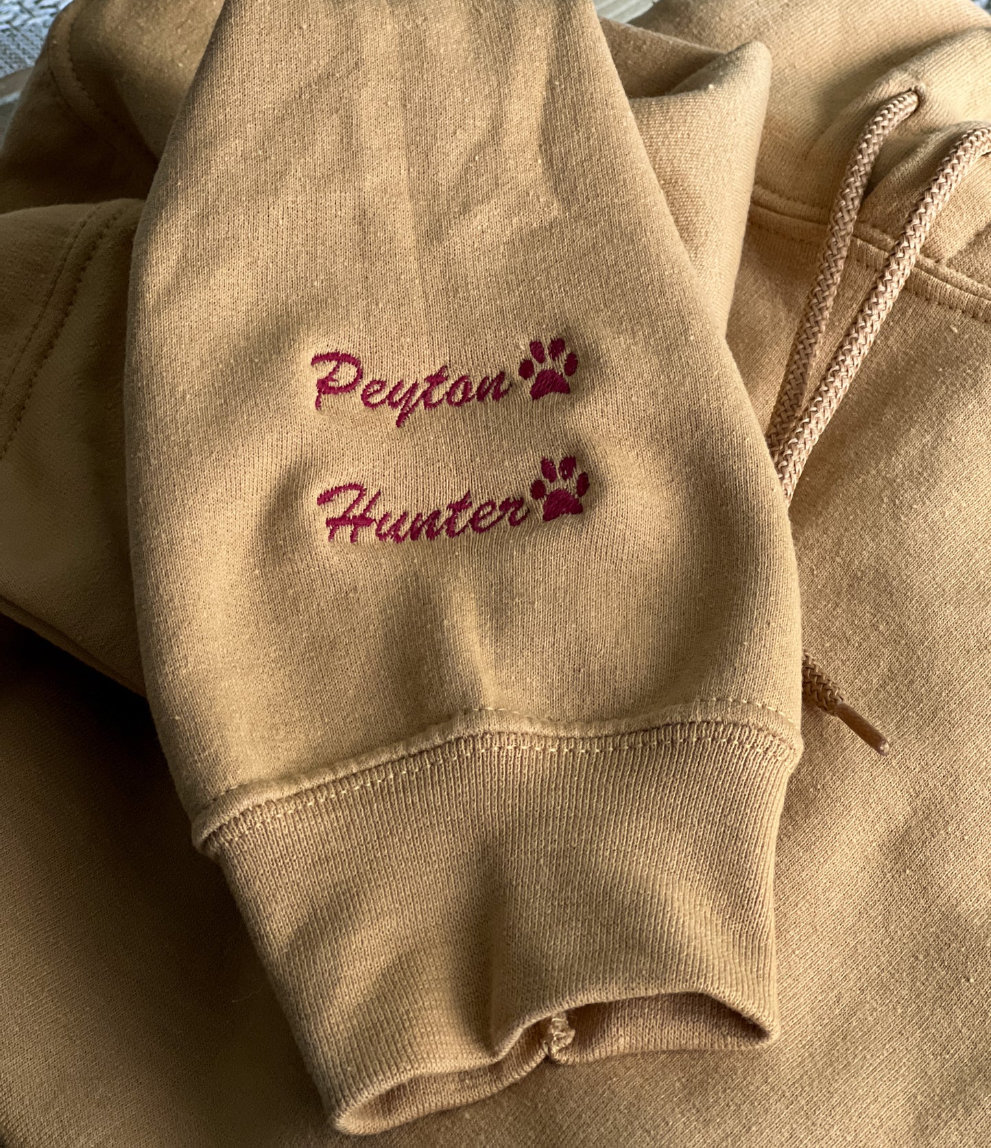 Panther Embroidered Collar Hoodie