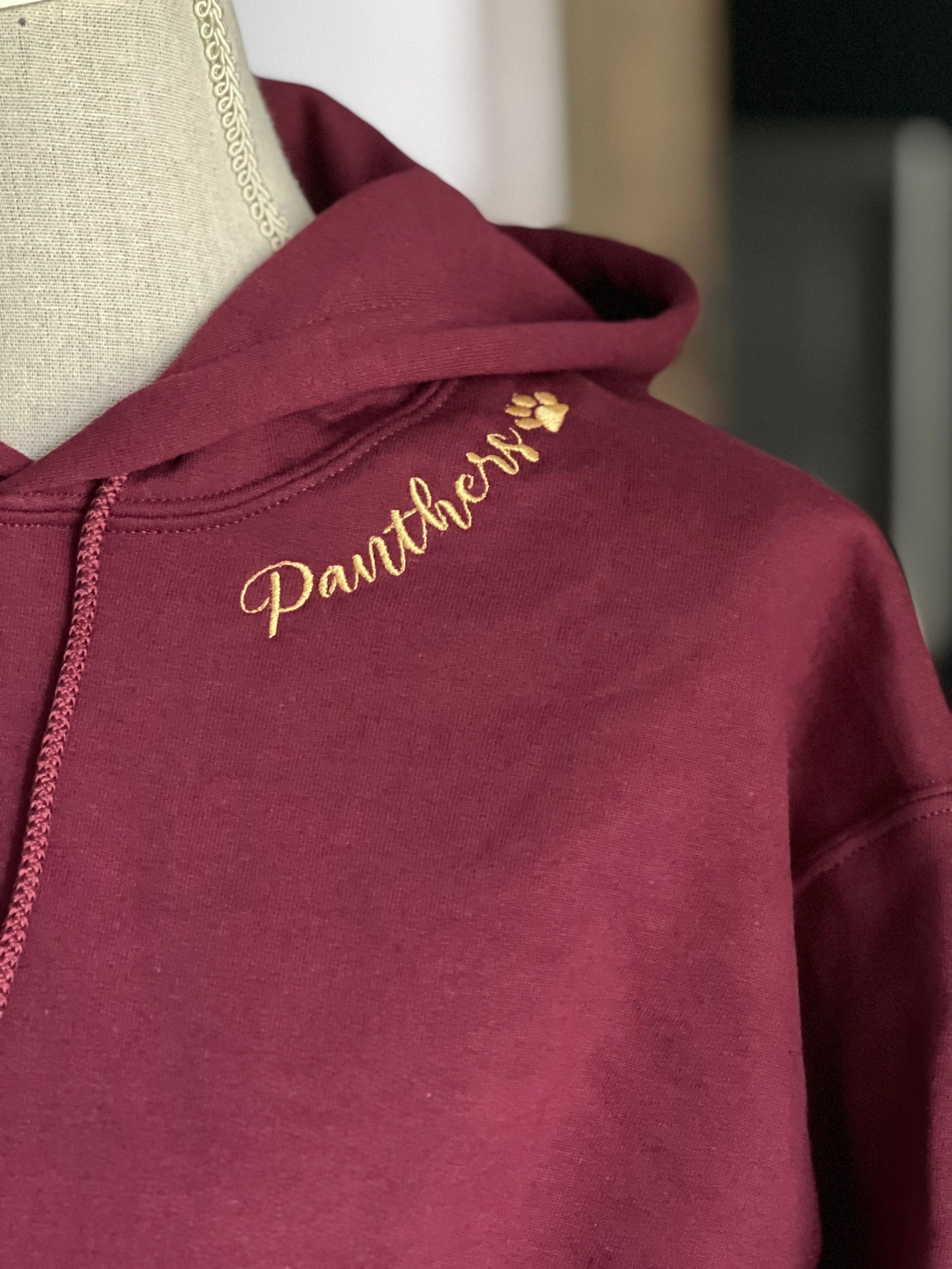 Youth Panthers Hoodie